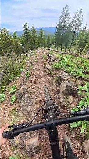 Dropping into one of my favorite local trails!