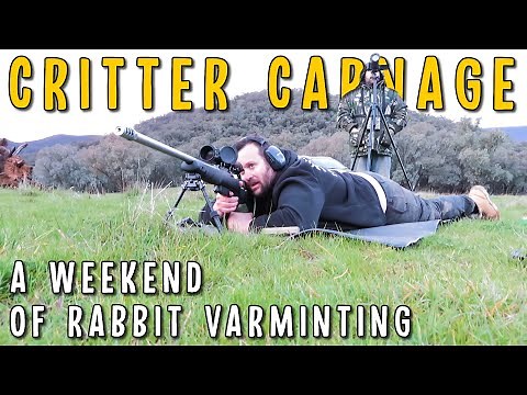 Aussie Rabbit Hunting With Centrefire Rifles | Tikka 243, Howa 223, CZ455 22LR