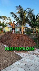 9.7K views · 679 reactions | How we get free mulch. Comment “Grow” if...