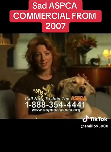 This is a very sad ASPCA commercial. Makes me cry everytime i see it🥺😭 #sarahmclachlan #aspcacommercial #likee #fypシ #comment #inthearnsofanangel