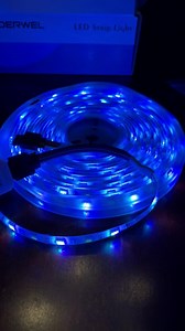 Watch Magic Home Pro app functions on Amazon Live