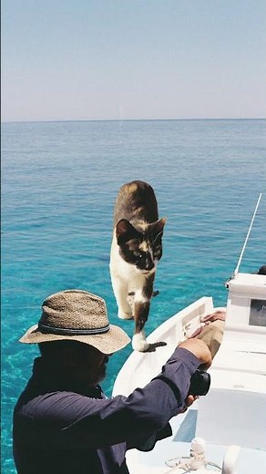 Ikos Kissamos #ikosresorts #unconditionalluxury