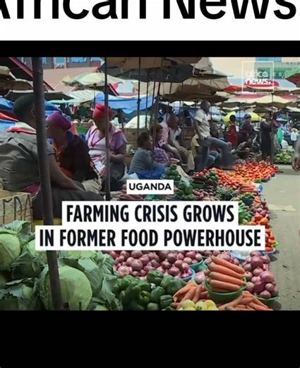 BENON KISOMOSE HOPE ORGANIC (@benon.kisomose.om)’s videos with original sound - BENON KISOMOSE HOPE ORGANIC