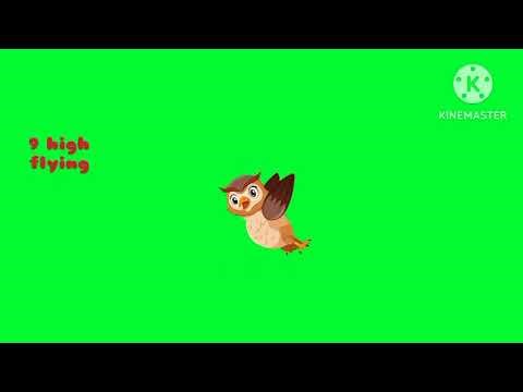 Non copy right owl green screen | cute owl animation | no copyright | video clip free to use