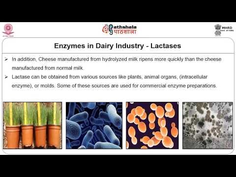 Applications of enzymes in food industry