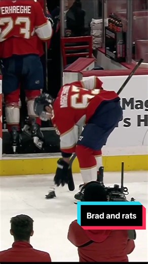 Brad's Love for Rats in NHL Hockey