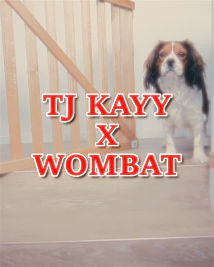 BURNER FREESTYLE -WOMBAT x TJ KAYY Dropping on YouTube 5PM #ausrap #hiphop #reels #rap #grime #bars #ukrap #australia | The Wombat