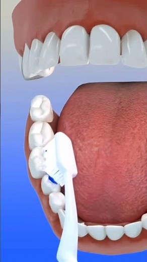 ¿Por qué es tan importante cepillarse los dientes? este es un consejo para ti