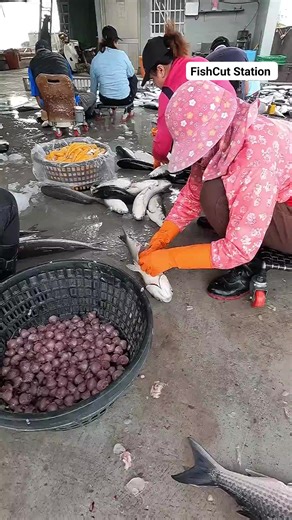 4.5K views | Shocking discovery inside mullet fish belly! #FishCutting #SeafoodSecrets #ViralReel #AmazingFind #fishing | FishCut Station | Facebook