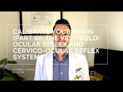 Calibrate Your Brain (Part 3): The Vestibulo-Ocular and Cervico-Ocular Reflex Systems