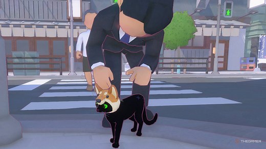 Little Kitty, Big City: How To Get Photographed