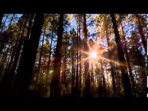 Música de flauta con imágenes de la naturaleza