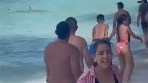 Moment shark launches attack sending holidaymakers fleeing at tourist spot