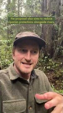 Logging Old-Growth Forest on BLM Lands in Oregon is a Stupid Call