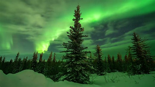 Photographer Captures Incredible Aurora Borealis 4K Time-Lapse Footage in Alaska