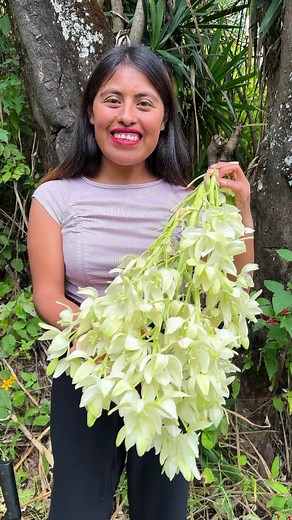 😱 Lo han probado 😱🍃 | Diana Flores Huerta