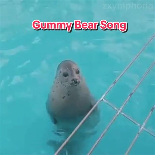 Gummy Bear Song Edit: A Fun CapCut Adventure