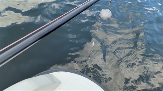 1.4K views | VIDEO 2. Downrigging bass and yellas at Lake St Clair: | Downrigger Shop | Facebook