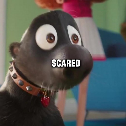 2 Times The Honey badger was Scared In Despicable Me 4....