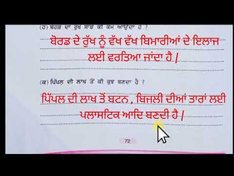 Class 4 Punjabi Lesson 12 PSEB Board Complete chapter Solved Exercise