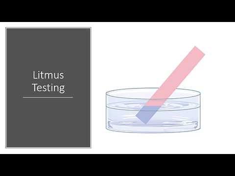Litmus Testing