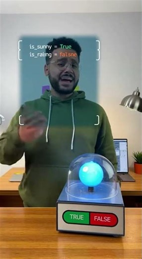 Python Boolean in 15s – Python Booleans Be Like: YES or NO Only 😆 #shorts