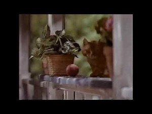 Friskies Cat Food Commercial 90's