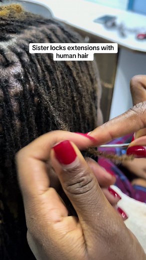 How to Style Dreadlocks Extensions: Sisterlocks With Human Hair