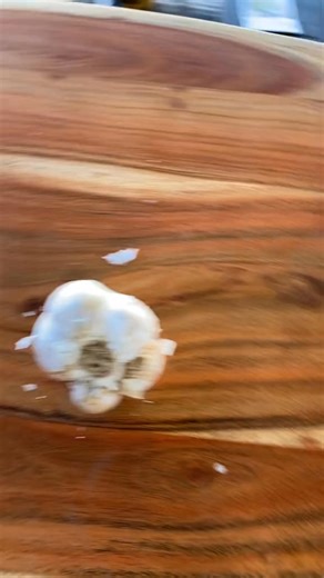 The biggest “garlic” you’ll ever see. Elephant garlic is actually clos... #garden #plants #howto #gardening | The Gardening Guru | Facebook