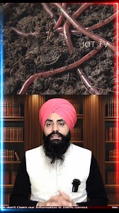 Amazing Animal Facts 😎🐾 You Won’t Believe These #AmazingAnimalFacts #DidYouKnow #WildlifeSecrets | Jot TV