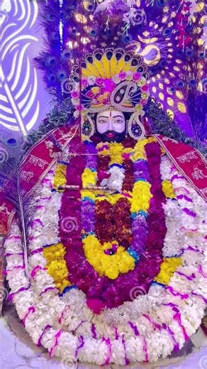 ✨️✨️#shyamkripa #love✨️✨️✨️ #song #shiyam ✨️✨️🥰🥰😊😊Jay shree shyam baba ki #@krishanprajapat-m6g