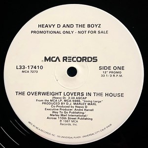 Heavy D. & The Boyz - The Overweight Lovers In The House