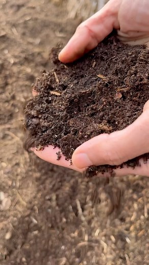 3.6K views · 62 reactions | Humus is a dark organic substance made up...