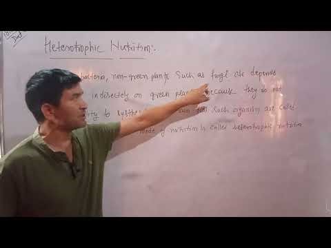 Class 10th science Life process stomata and heterotrophic mode by Malara sir