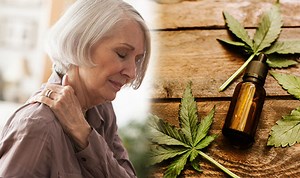 Scientist shows how cannabis has thousands of uses