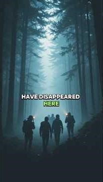 The Forest Where People Go Missing Without a Trace 🤯