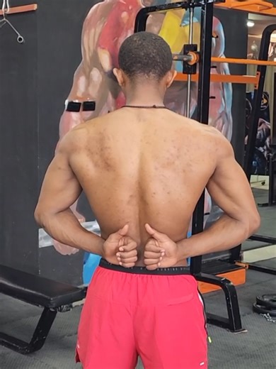 Effective Back Workouts for Bodybuilding Enthusiasts