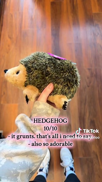 comment what your favourite toy is🧸 #petvalu #squeak #squeaktoy #dogtok #dogtoy #enrichment #shopwithme