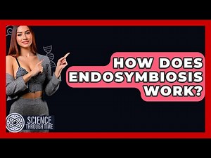 How Does Endosymbiosis Work? - Science Through Time