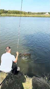 Live drill Crap la +3kg pe Balta Chiroiu 2 in data de 9 Octombrie 2026