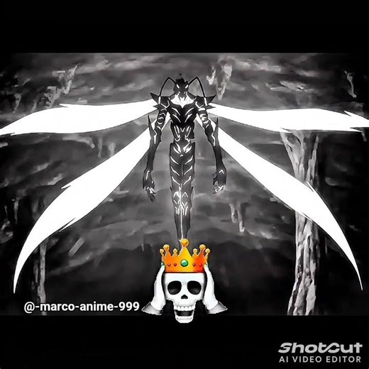 "BERU ARISE ENTRY🖤🔥|| Solo Levelling ||