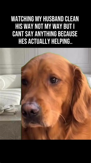 COACHING -- as women we moralize our preferences far too often. we make our way somehow morally superior to his way of doing something, instead of appreciating his participation. and then we wonder why he doesn't want to do things around the house! ladies, your way isn't better it's just different. this is a mindset shift that we desperately need in order to have a healthy and respectful partnership in our homes. it's okay that you like your way better. but I promise you it is far better to have