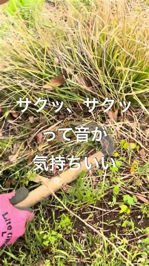 【爽快】枯れたグラスを一気にリセット