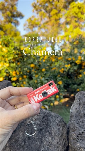 [JEJU, Korea / Kodak Chamera] Captured in a Jeju tangerine field#jejuisland #travelshot #camera