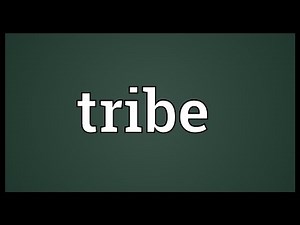 Tribe Meaning
