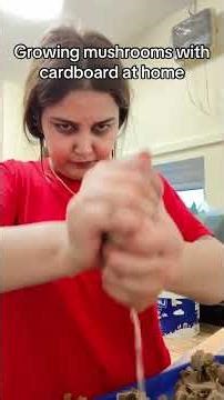 Growing mushrooms with cardboard at home ❤️❤️
