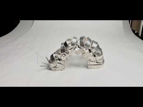 Metal Bug Stop Motion