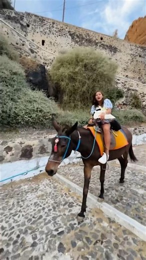DONKEY RIDE IN SANTORINI, GREECE.