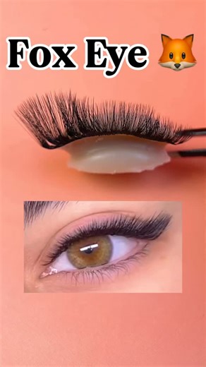 DareBeautyLashes®🛍️ on Instagram: "🔥 FOX EYE LASHES — The Hottest Trend is HERE! 🔥 Your clients are already asking… and you NEED to master this look! 🦊✨ Why Fox Effect? 👉 Artistic, sharp, dramatic — perfect for bold, youthful vibes! 👉 Creates that sultry cat-eye look WITHOUT makeup. ✂️ Quick Guide for Beginners: · Use 0.07 ellipsis or Y/W lashes · Inner corner: C curl · Rest: L or M curl for max lift! · Angle shift: 90° to 135° for the perfect winged effect. Lash from @shopdarebeautylash S