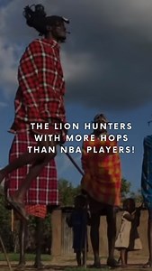 74K views · 58 reactions | The lion hunters with more hops than NBA...